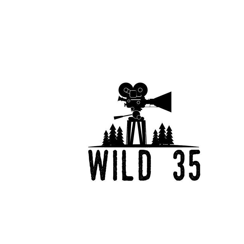 wild 35 wedding videography