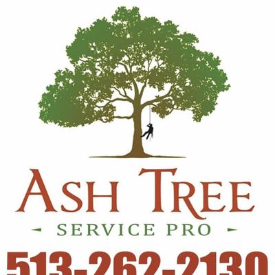 Avatar for Ash Tree Service Pro