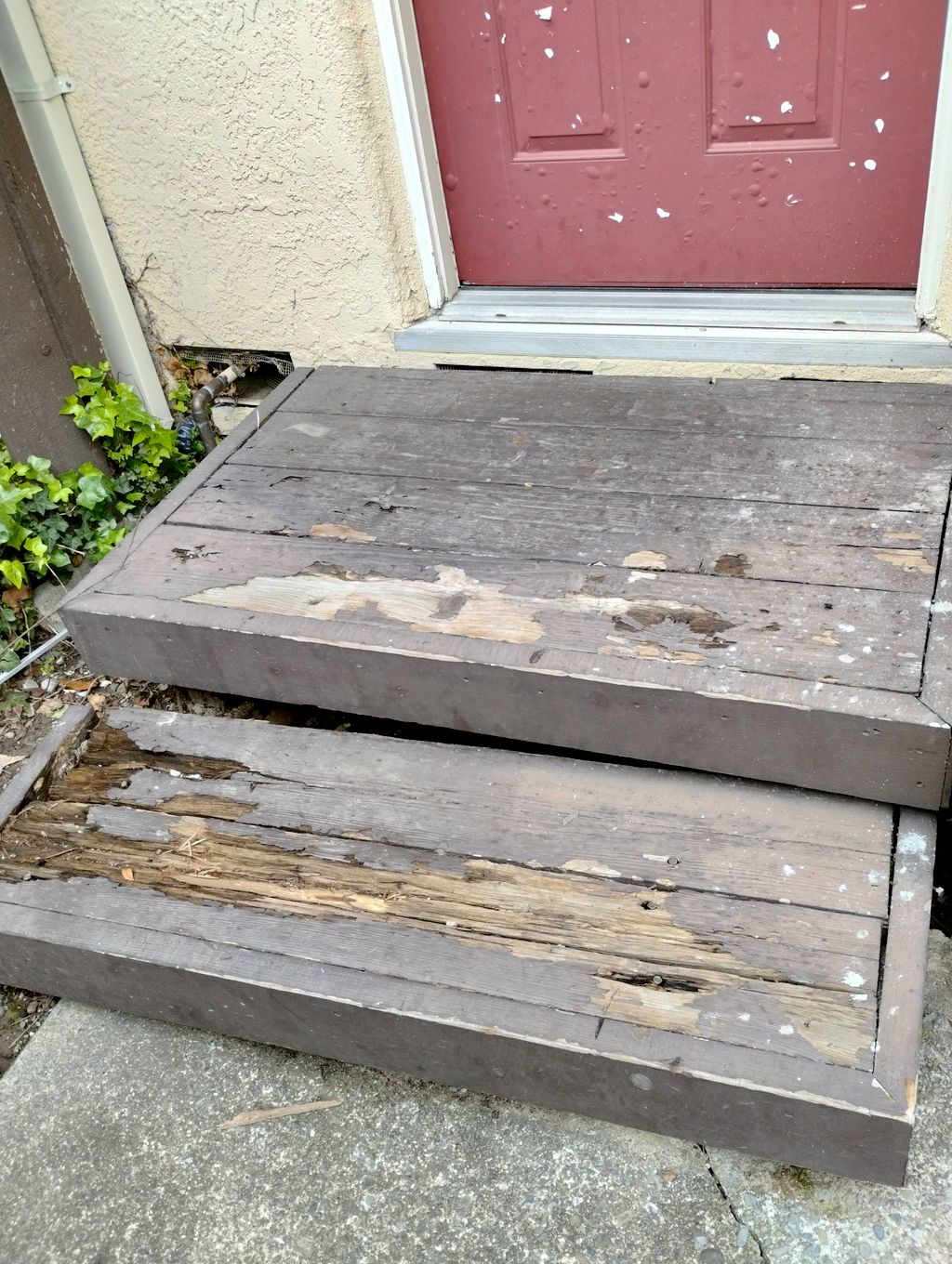 Customer photos