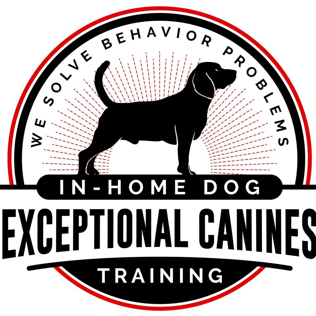 Exceptional Canines In-Home Dog Training
