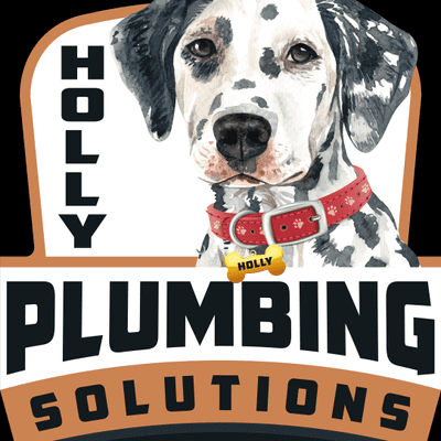 Avatar for Holly Plumbing Solutions