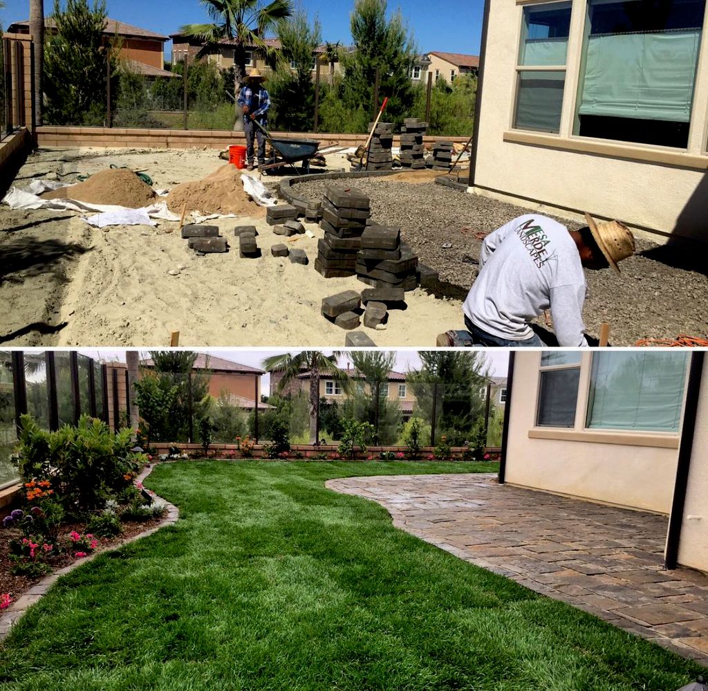 Landscape Design and installation