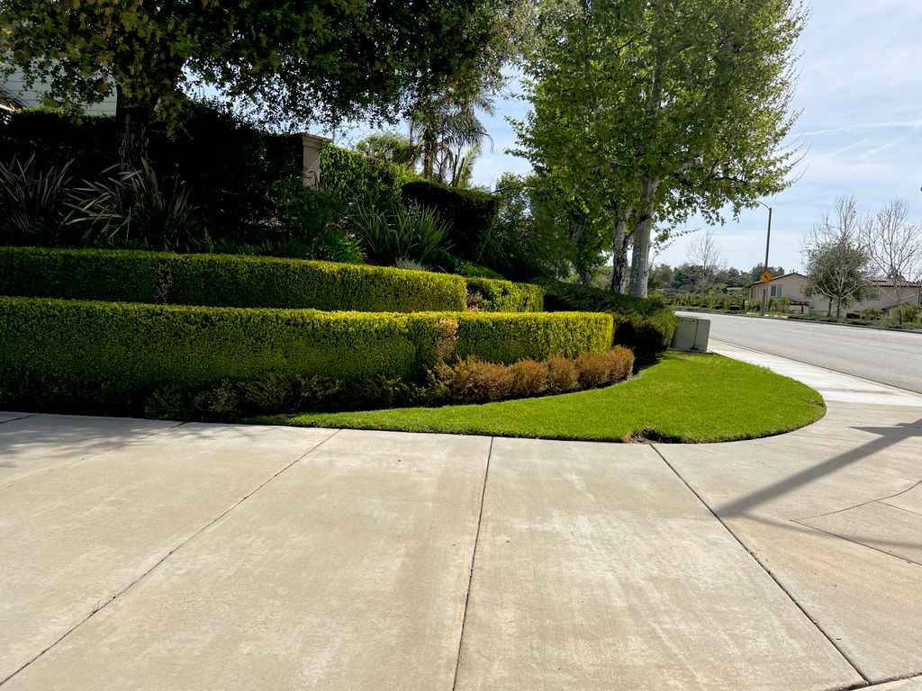 Commercial landscaping