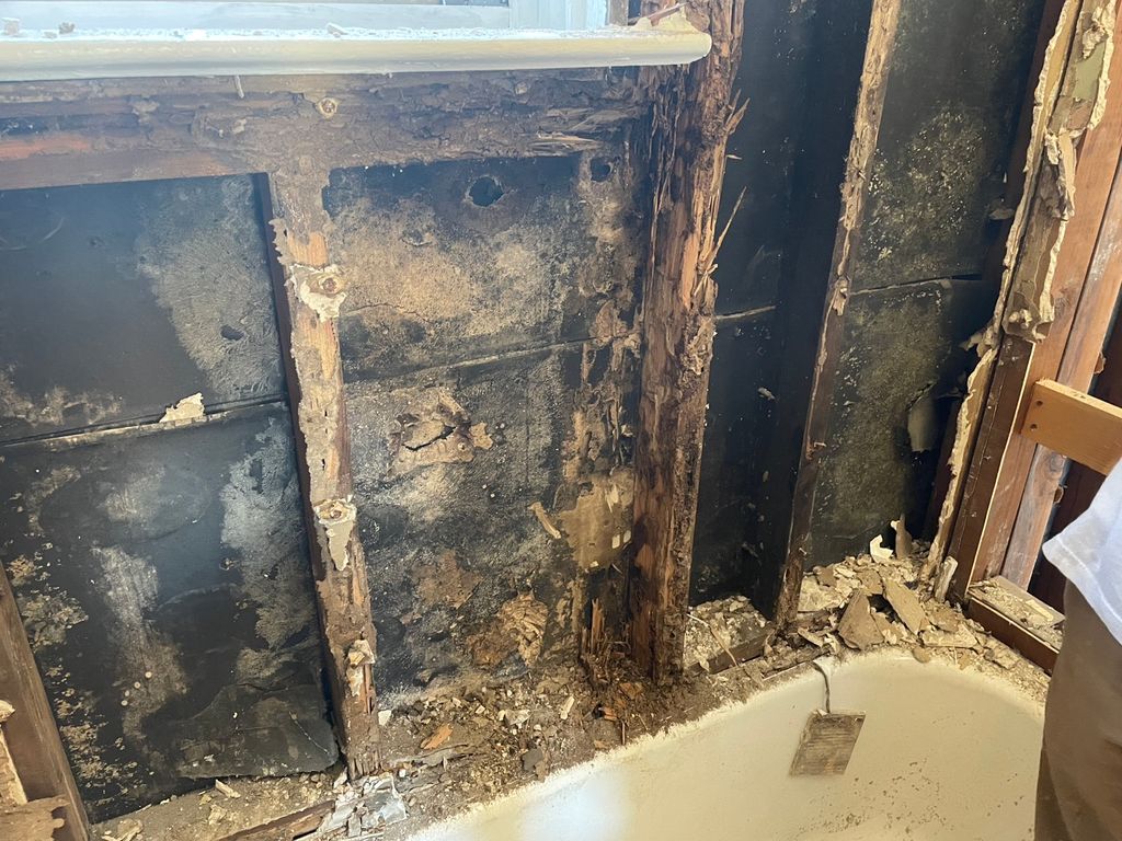 Termite damage