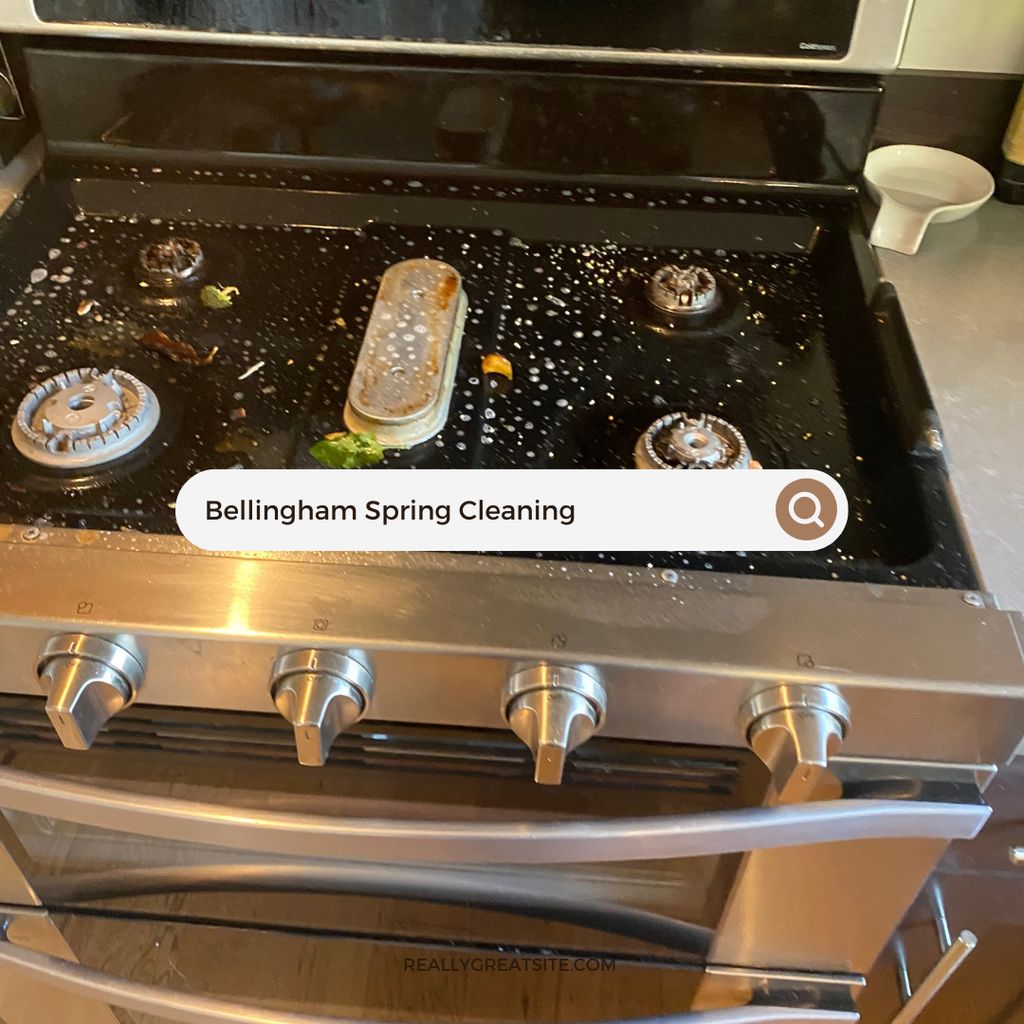 Before Deep Cleaning an Oven