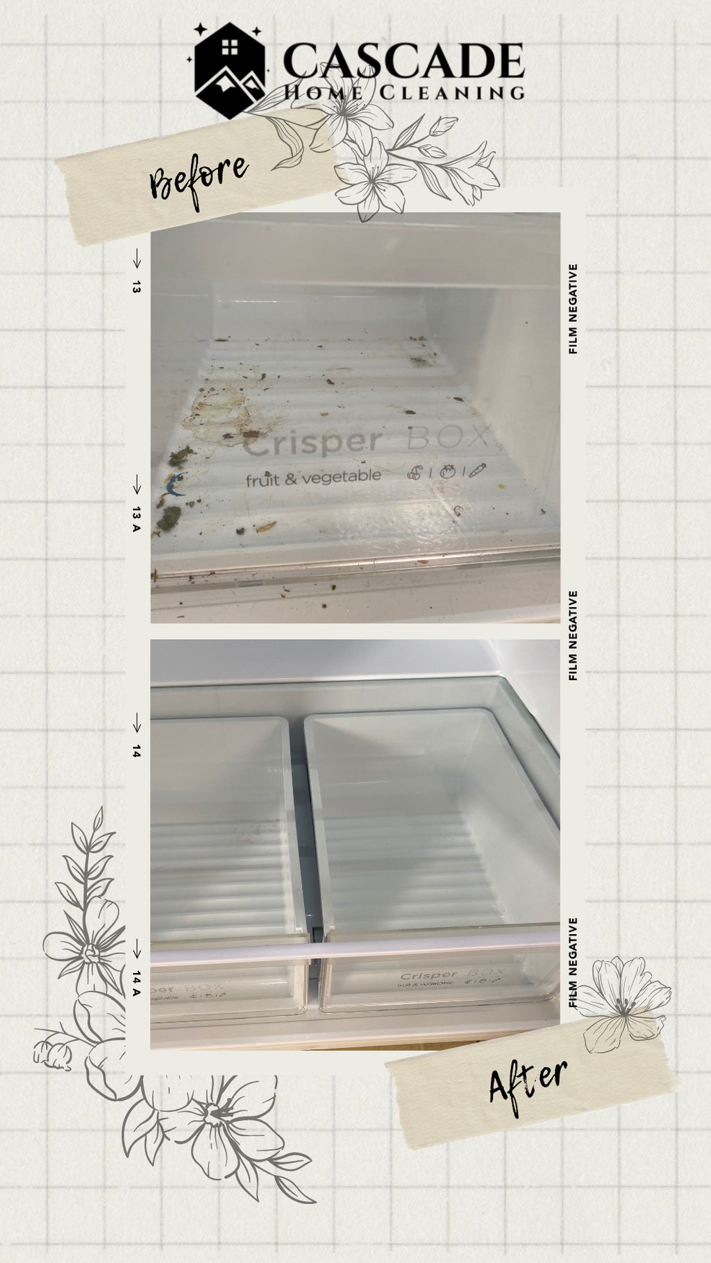 Fridge Before and After