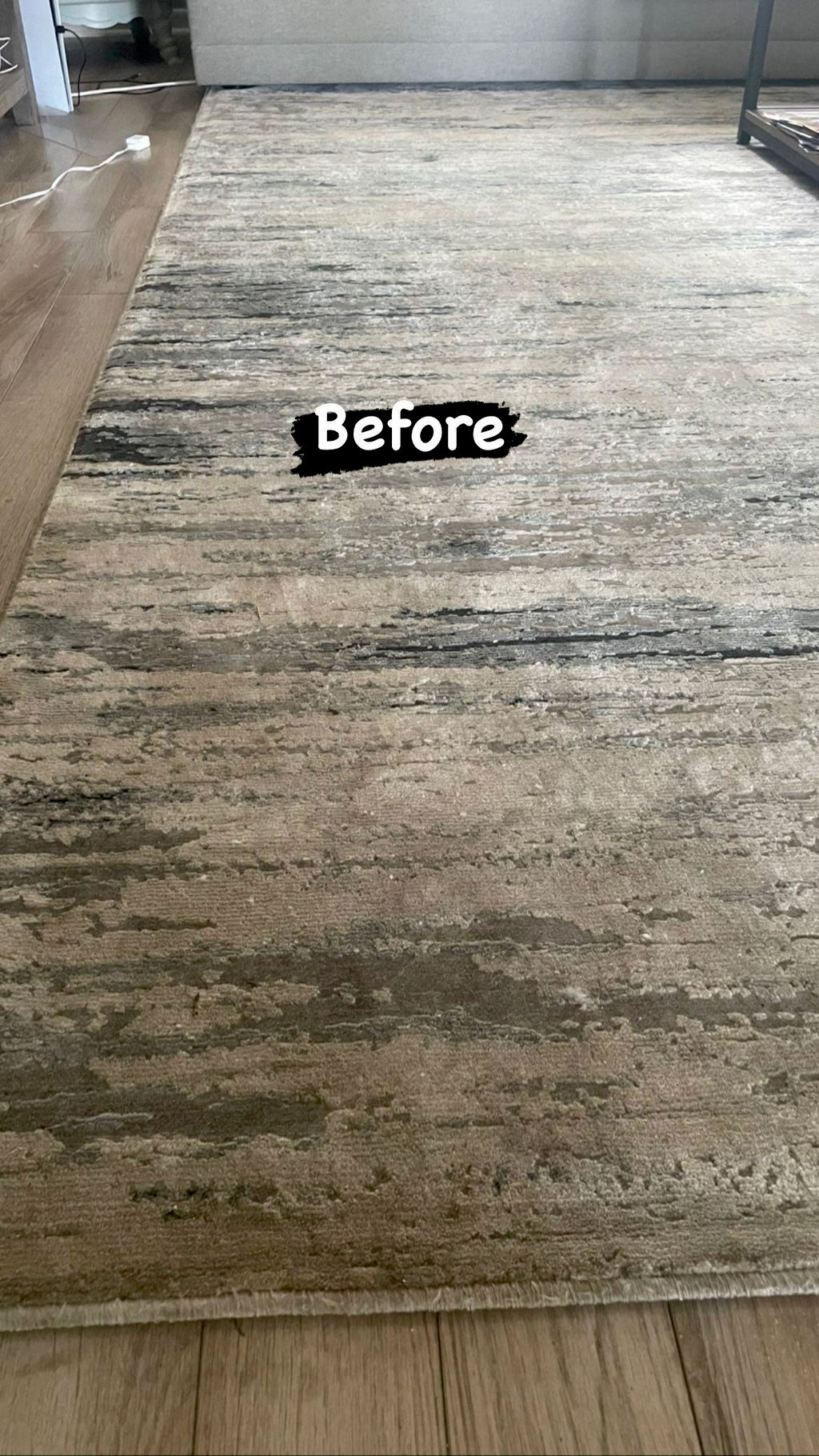Before Area Rug