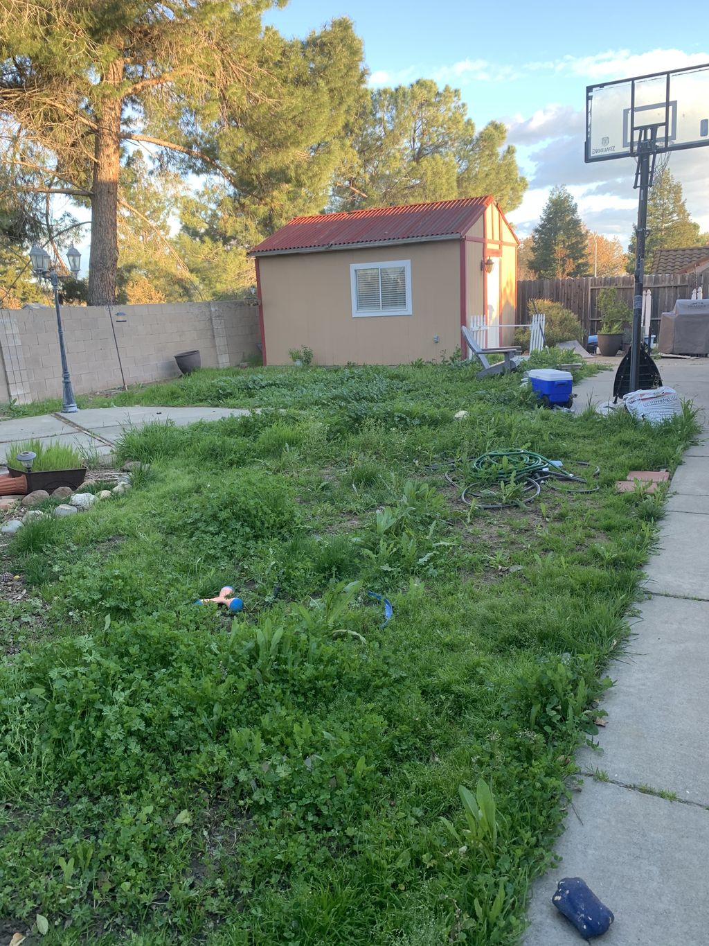 Patio Remodel or Addition