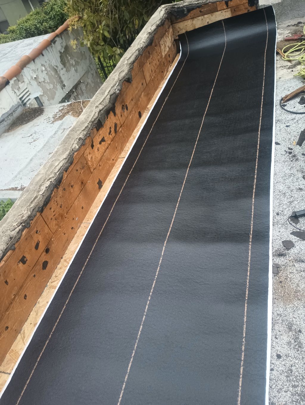 Projects and media