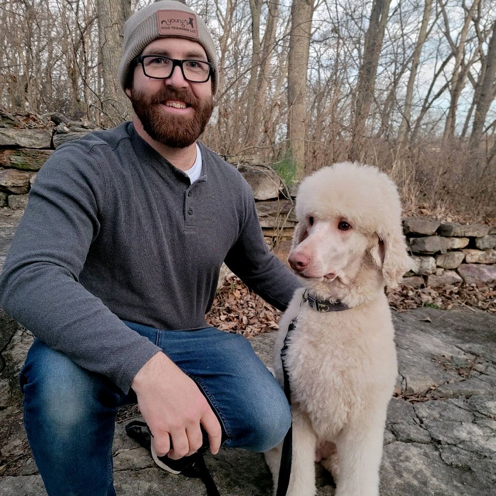 Youngs Dog Training LLC