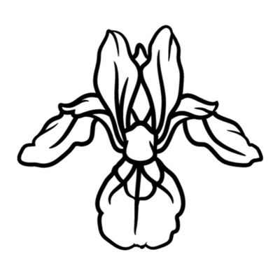 Avatar for White Iris Salon (Microblading,SPA, Eyelashe Ext.)