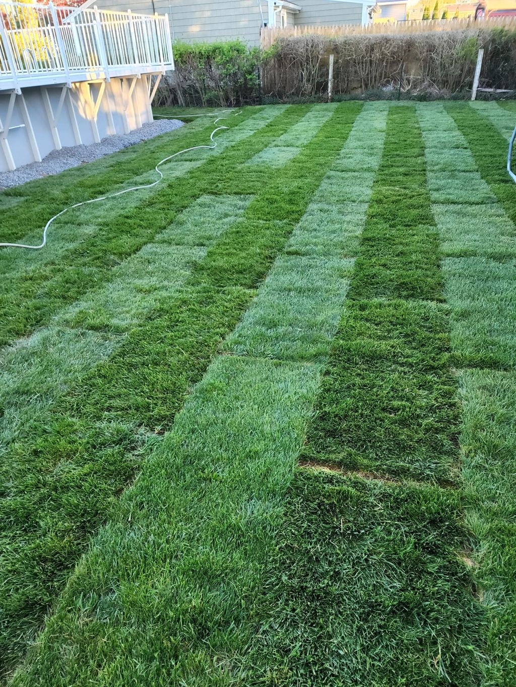 Sod Installation