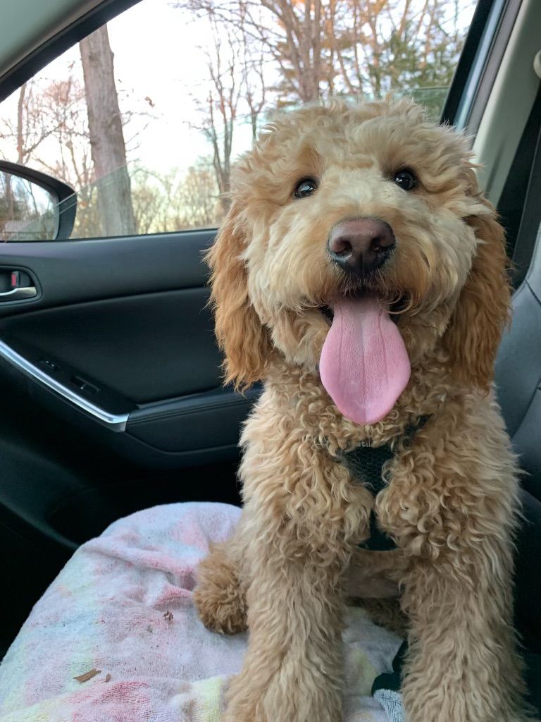 Good ol’ Teddy - Love this guy! 