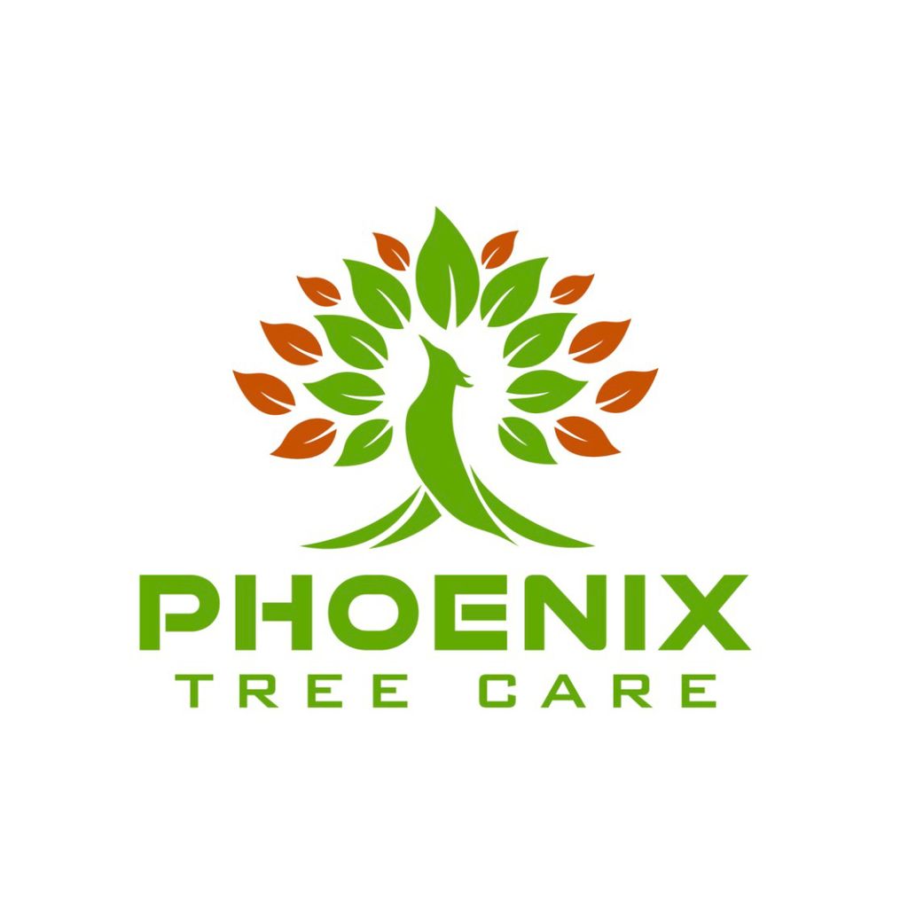 Phoenix Tree Care