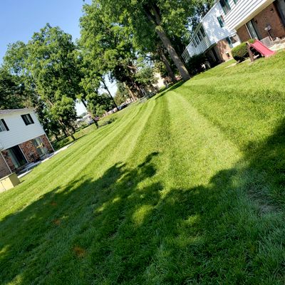 Avatar for Lawn bandits