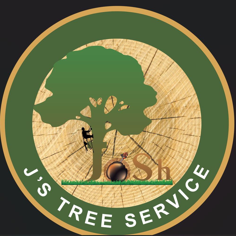 J’S tree services