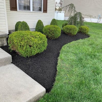 Avatar for Riveras Landscaping LLC