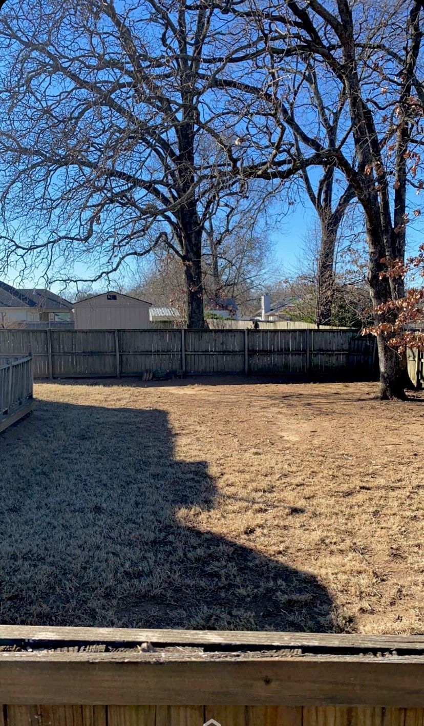 Entire yard leaf removal, just the back yard