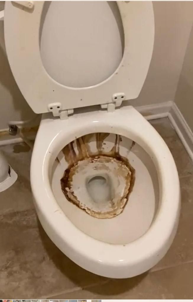 toilet before