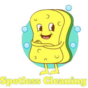 Avatar for DMV Spotless Cleaning Services
