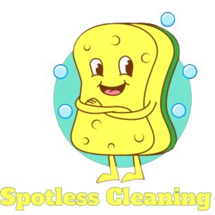 DMV Spotless Cleaning Services