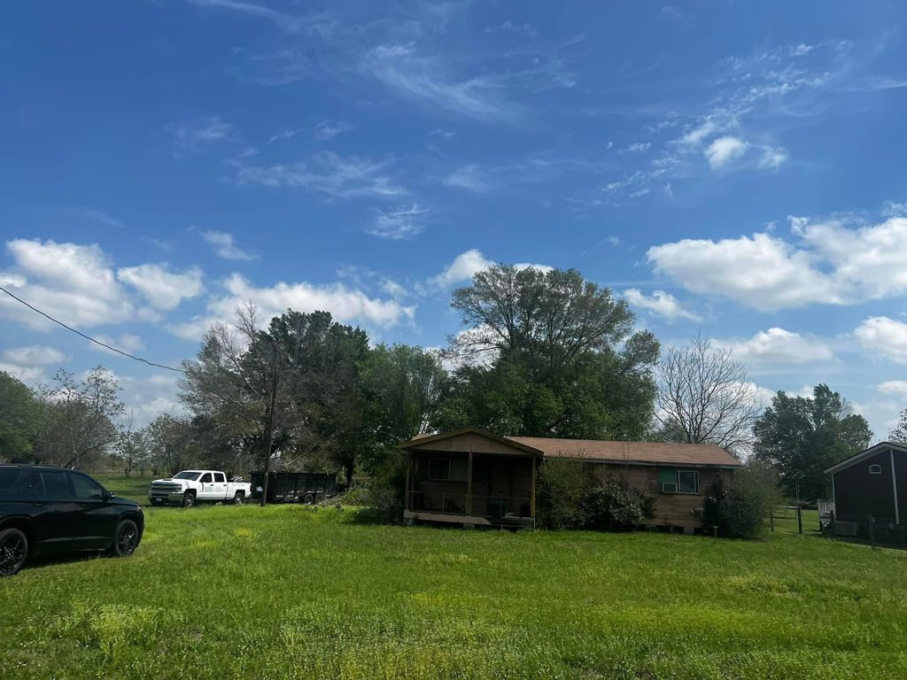 Tree Trimming and Removal