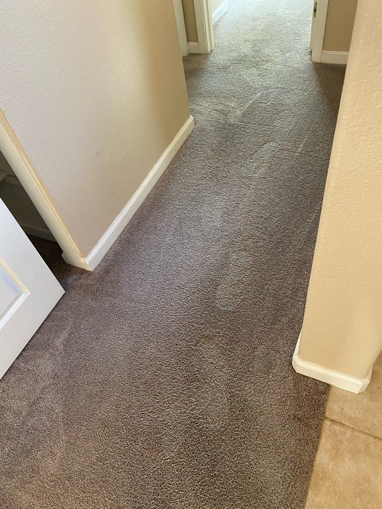 Carpet Clean
