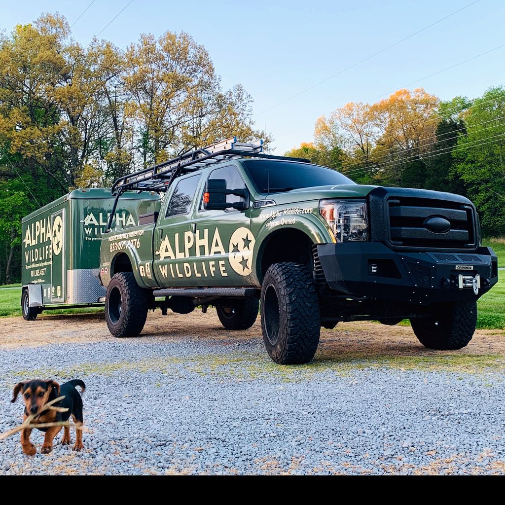 Alpha Wildlife Chattanooga