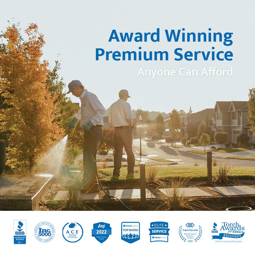 Award Winning Premium Service Anyone Can Afford