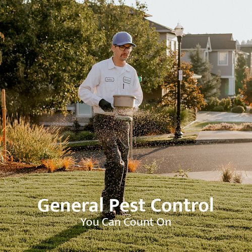 General Pest Control You Can Count On