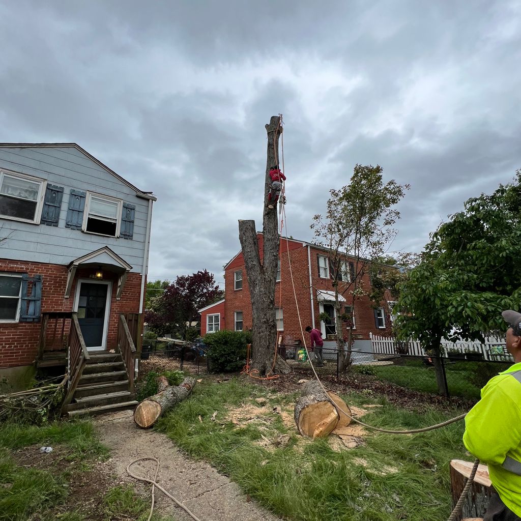 Gaitan’s Landscaping LLC