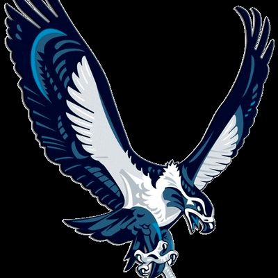 Avatar for Seahawk Security Solutions