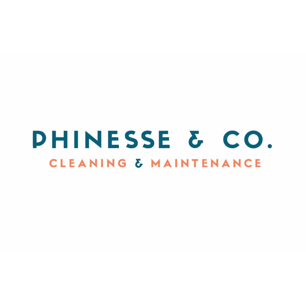 Phinesse & Co. Cleaning and Maintenance