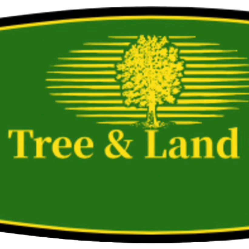 Brave Tree & Land Clearing LLC