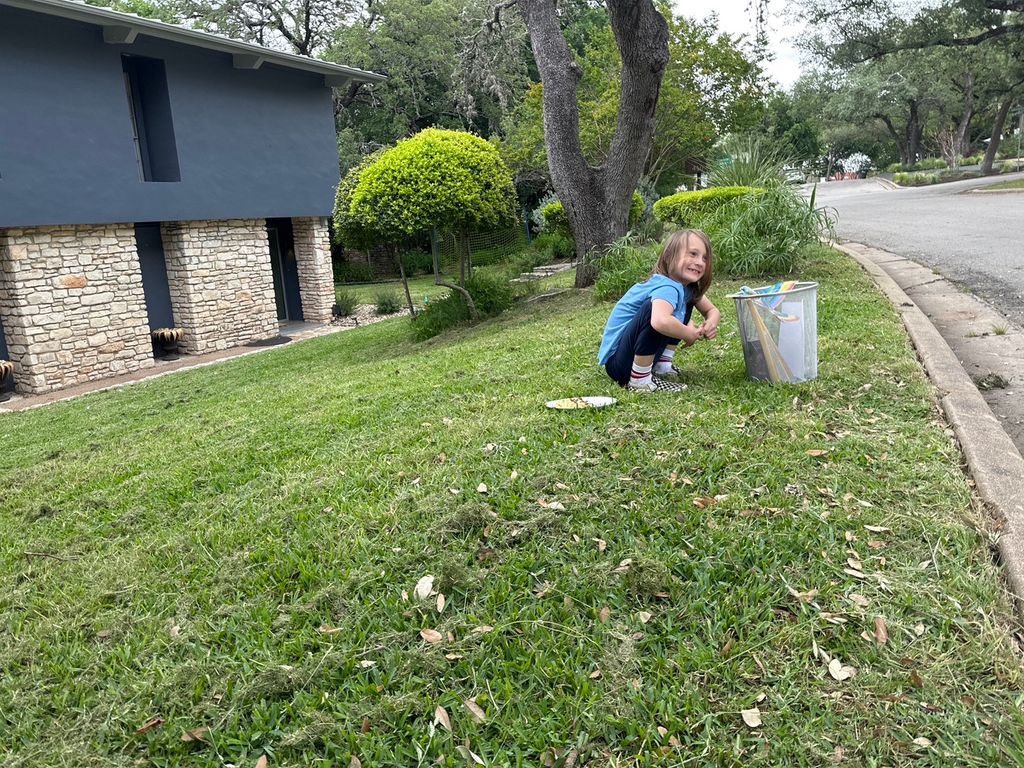 Lawn looks great! Now my kids is in the front yard