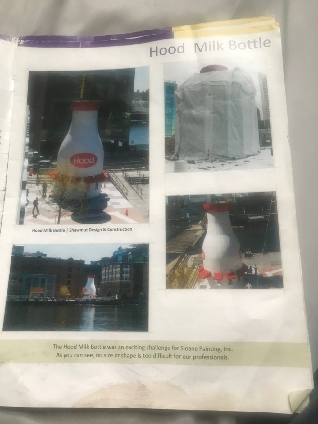 Projects and media