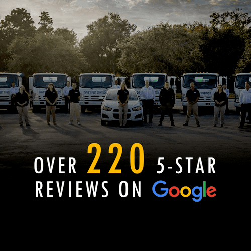 Proud of our 220+ 5-star reviews on Google!