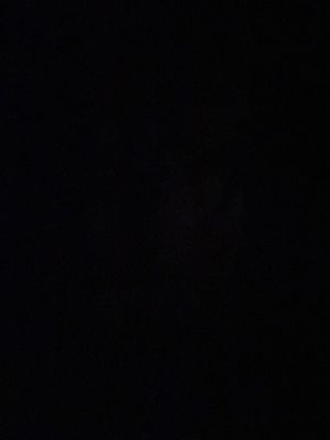 Avatar for Bell Brothers Contractors LLC.