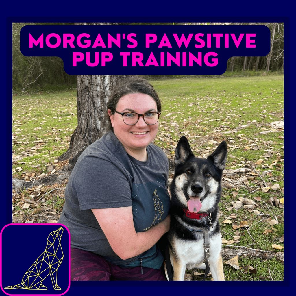 Morgan's Pawsitive Pup Training