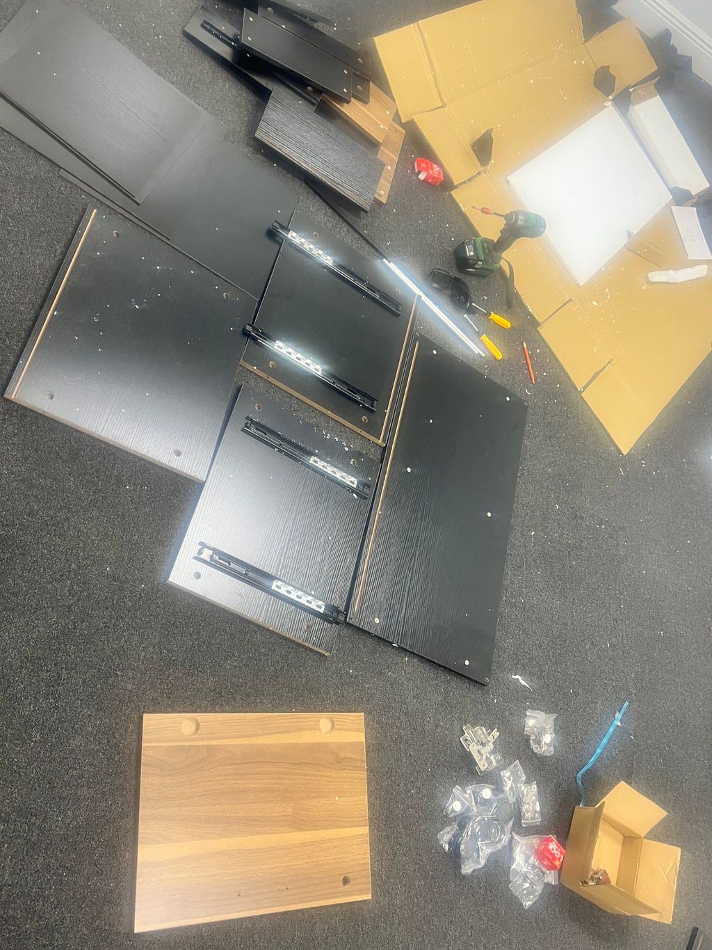 Projects and media
