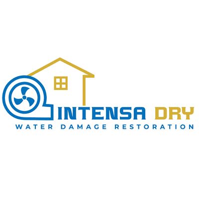 Avatar for Intensa Dry