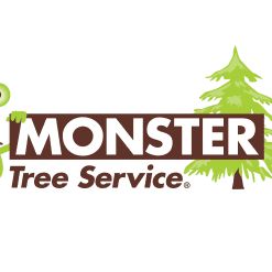Monster Tree Service of Akron