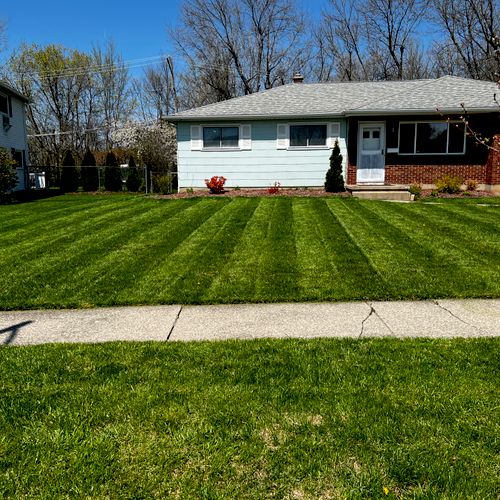 Lawn Mowing and Trimming