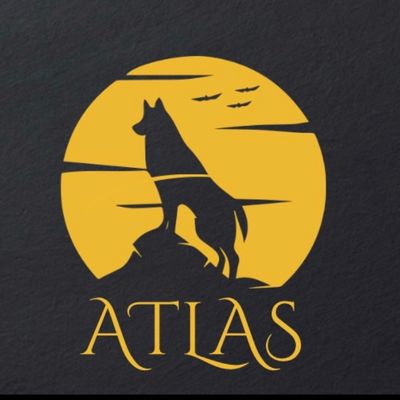 Avatar for Atlas Tech Solutions LLC