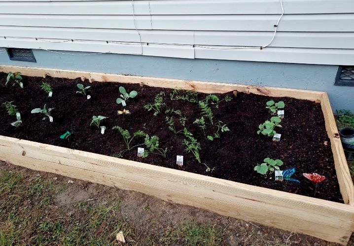 Raised garden beds