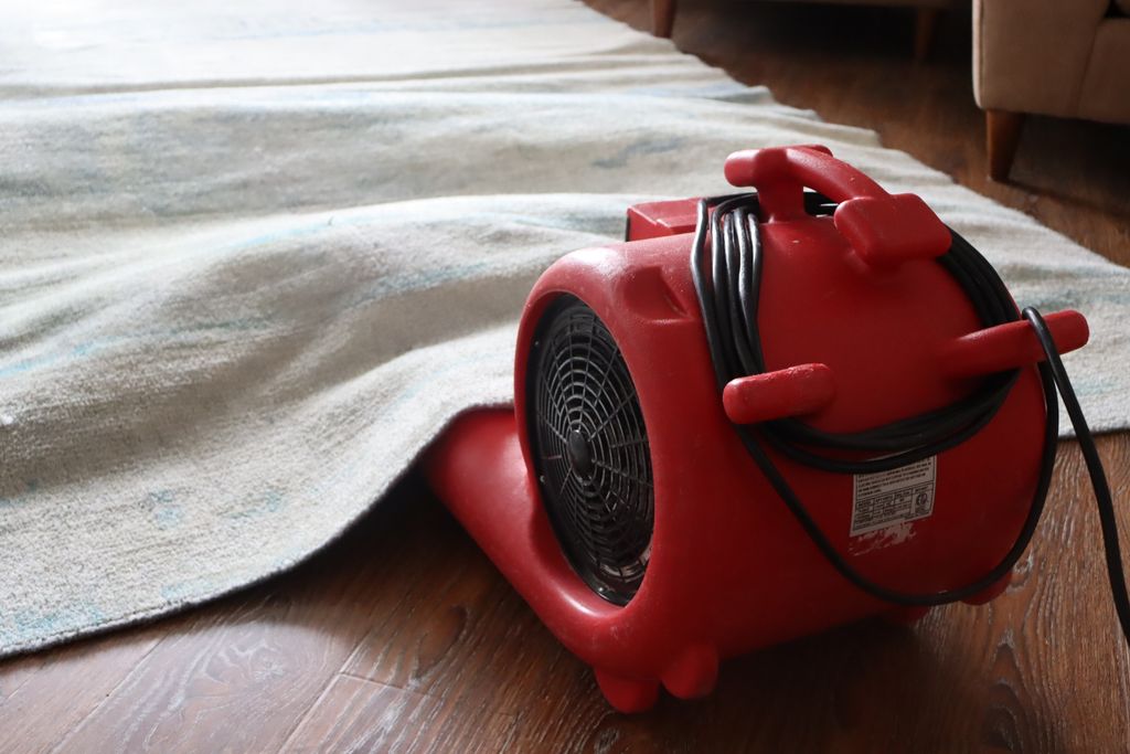 Water damage leaving your floor and carpet soaked?