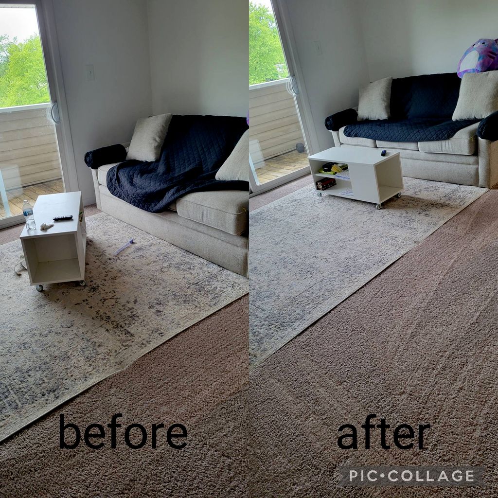 Standard Apartment cleaning 