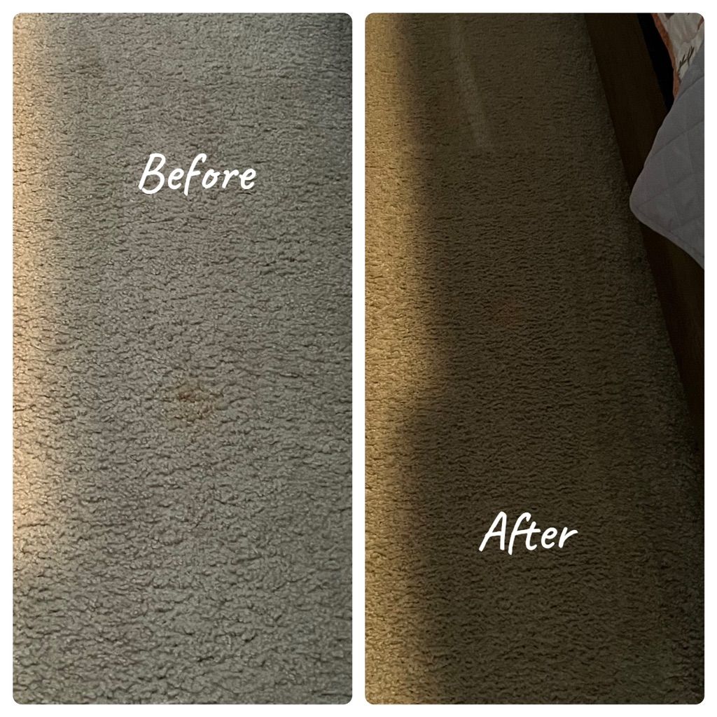 Carpet Cleaning 