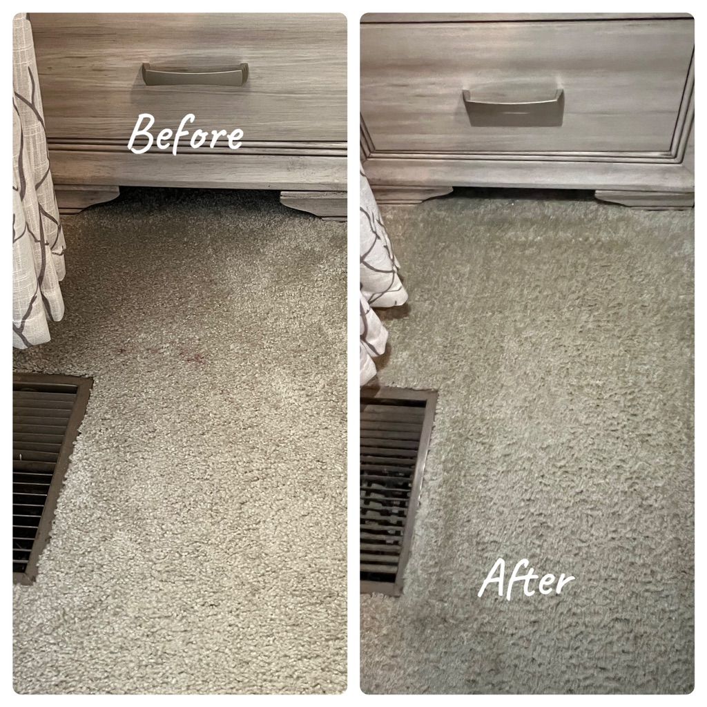 Carpet Cleaning 