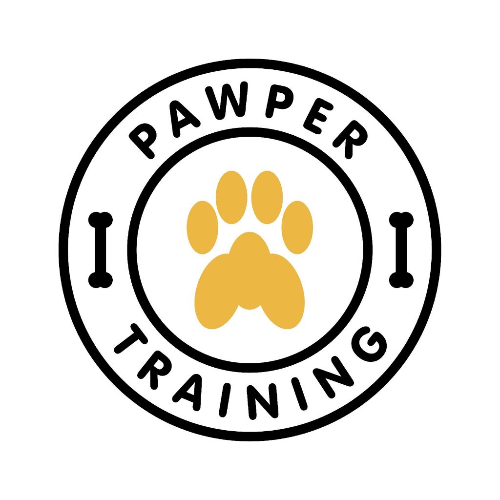 Pawper Training